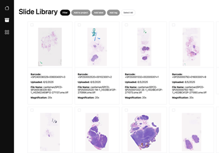 screenshot of the slide library