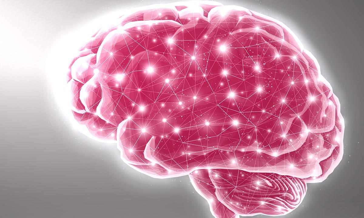 An illustration of a sparkly red human brain. The sparkles are connected by white lines.