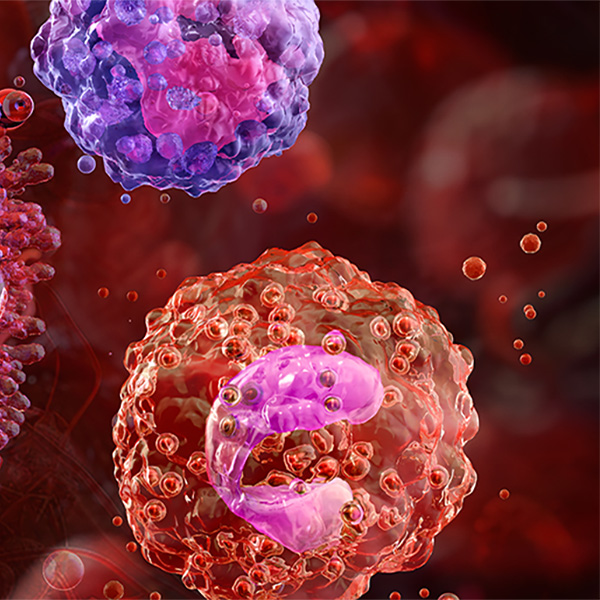 cells