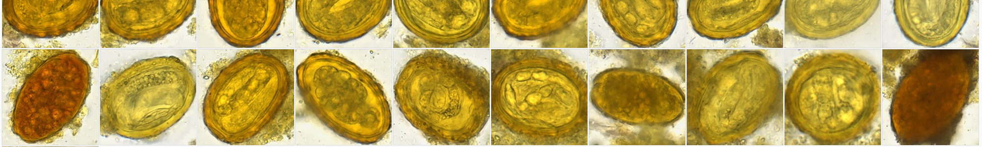 Illustration of data numbers