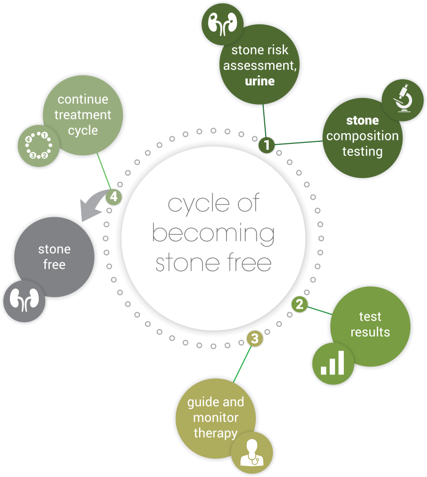 Illustraion of a cycle for becoming stone free