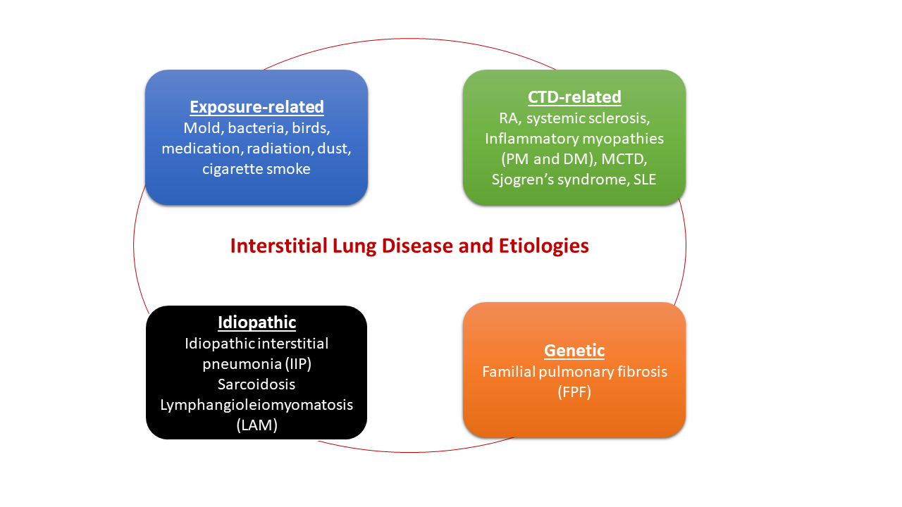 Interstitial Lung Disease Infographic