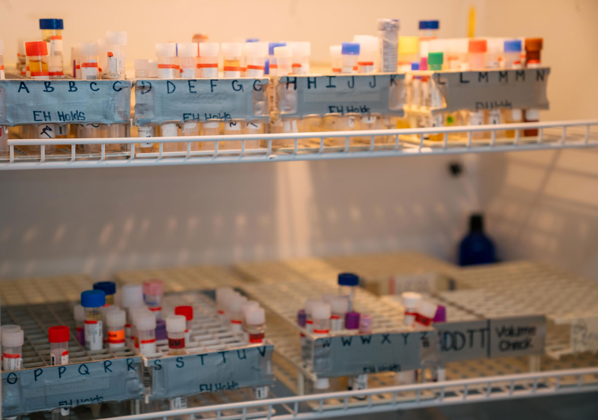 A rack of specimens to be investigated