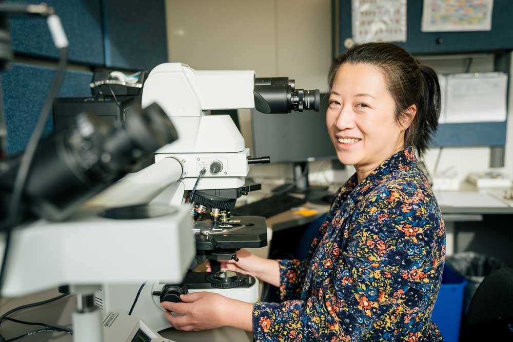 Peng Li using lab equipment